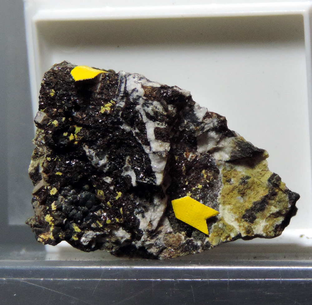 Mitridatite & Frondelite