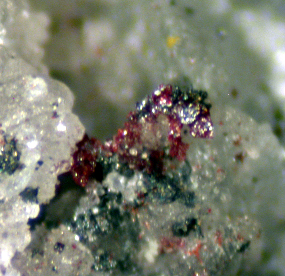 Arsiccioite