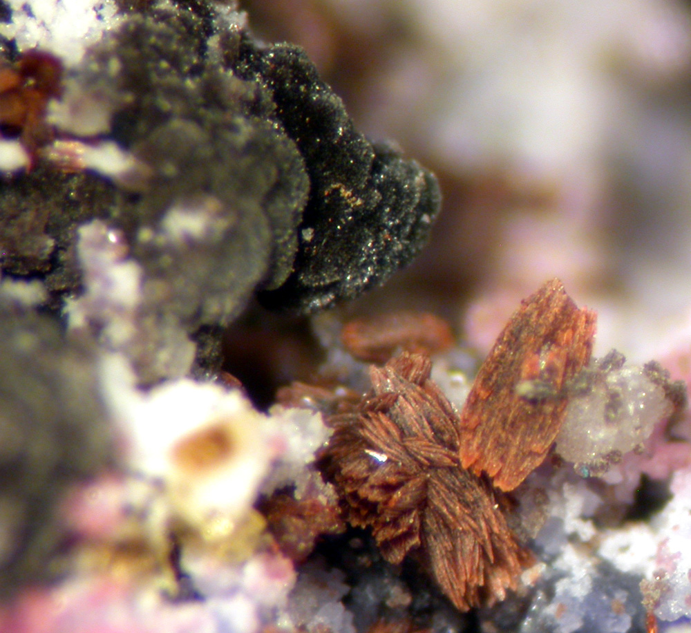 Serrabrancaite Strengite Bermanite & Phosphosiderite