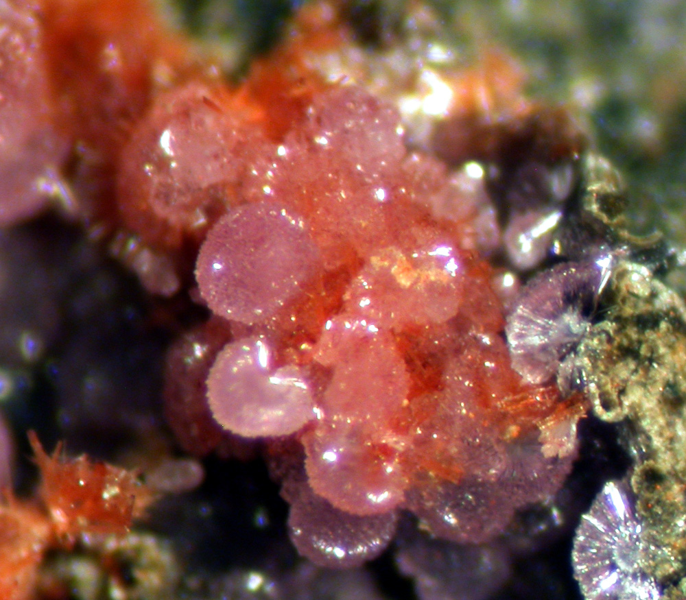 Strengite & Beraunite