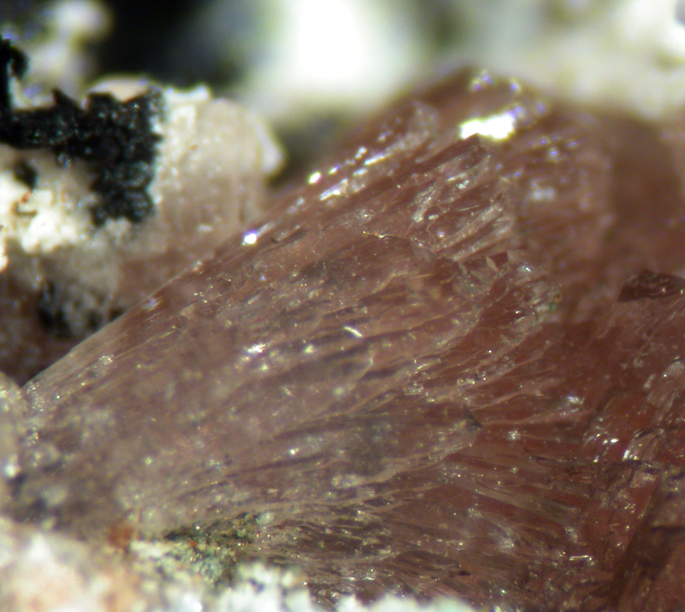 Whiteite-(MnFeMg) Hureaulite & Barbosalite