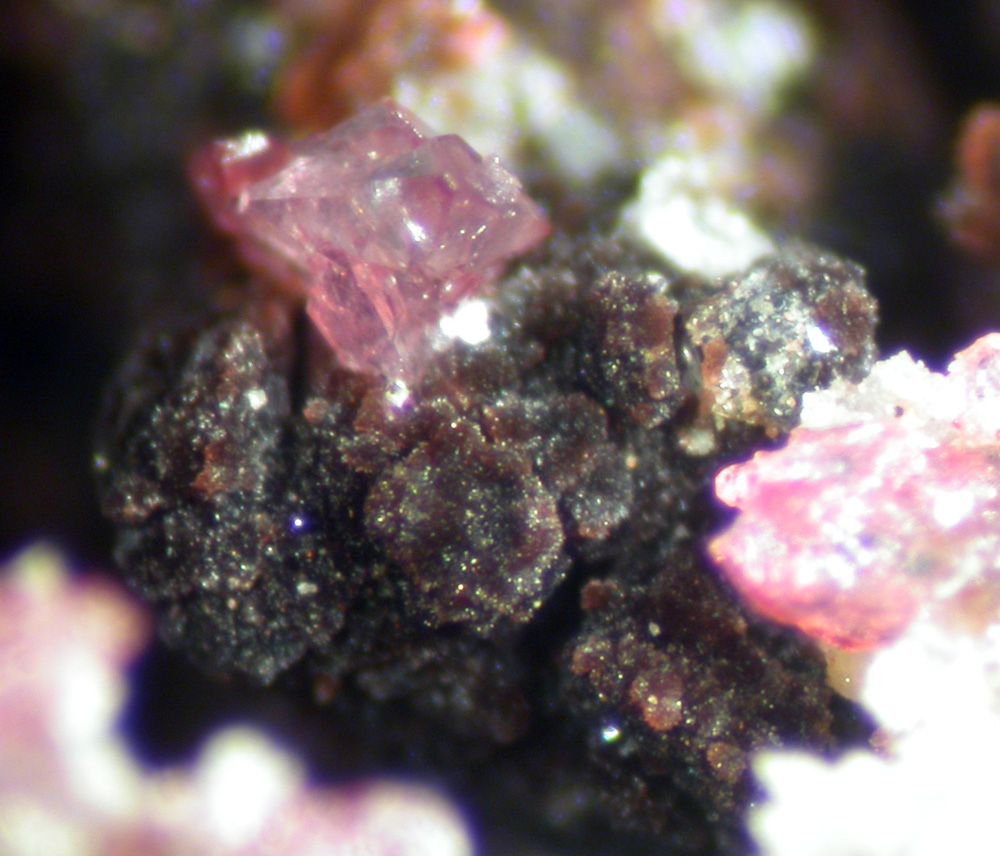 Serrabrancaite Strengite Bermanite & Phosphosiderite