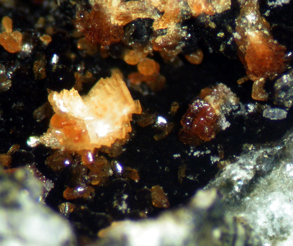 Mangangordonite & Jahnsite