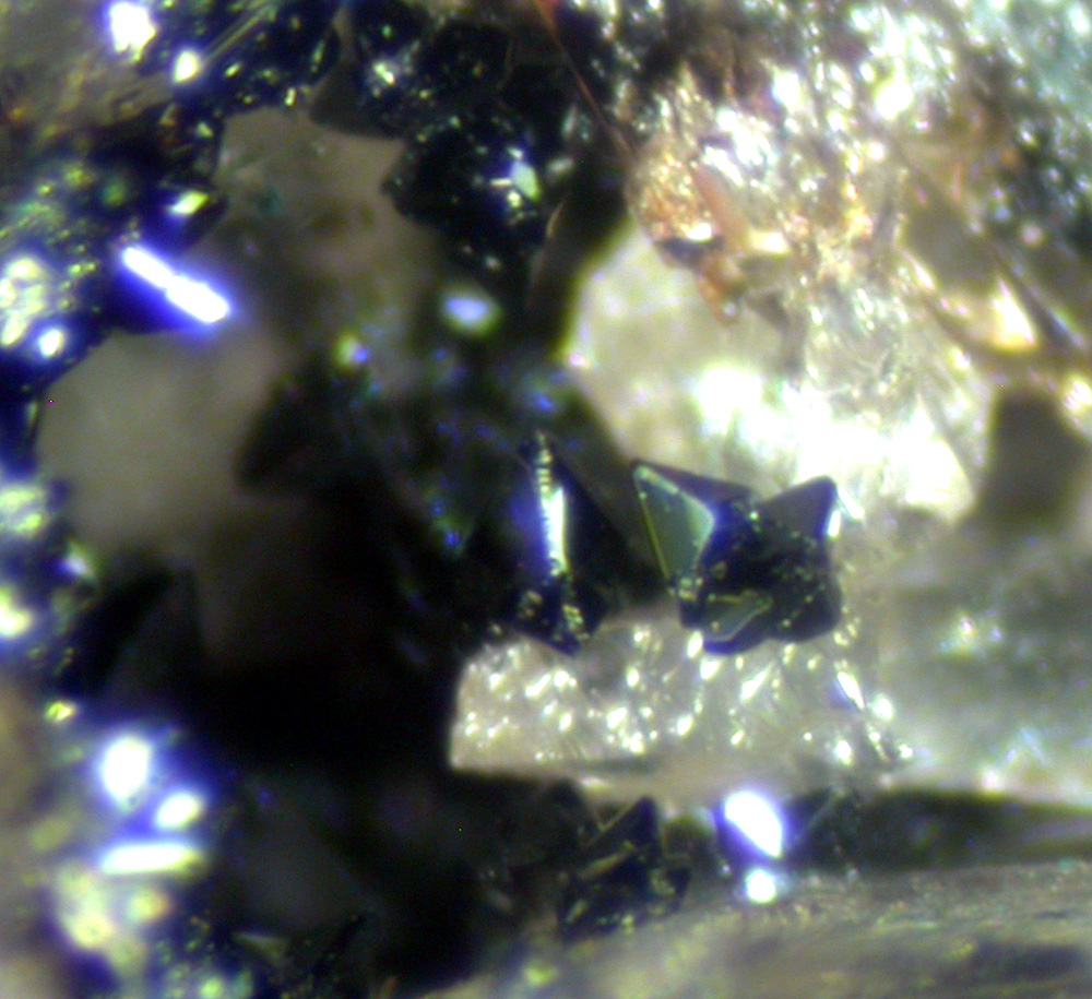 Barbosalite Triphylite & Kidwellite