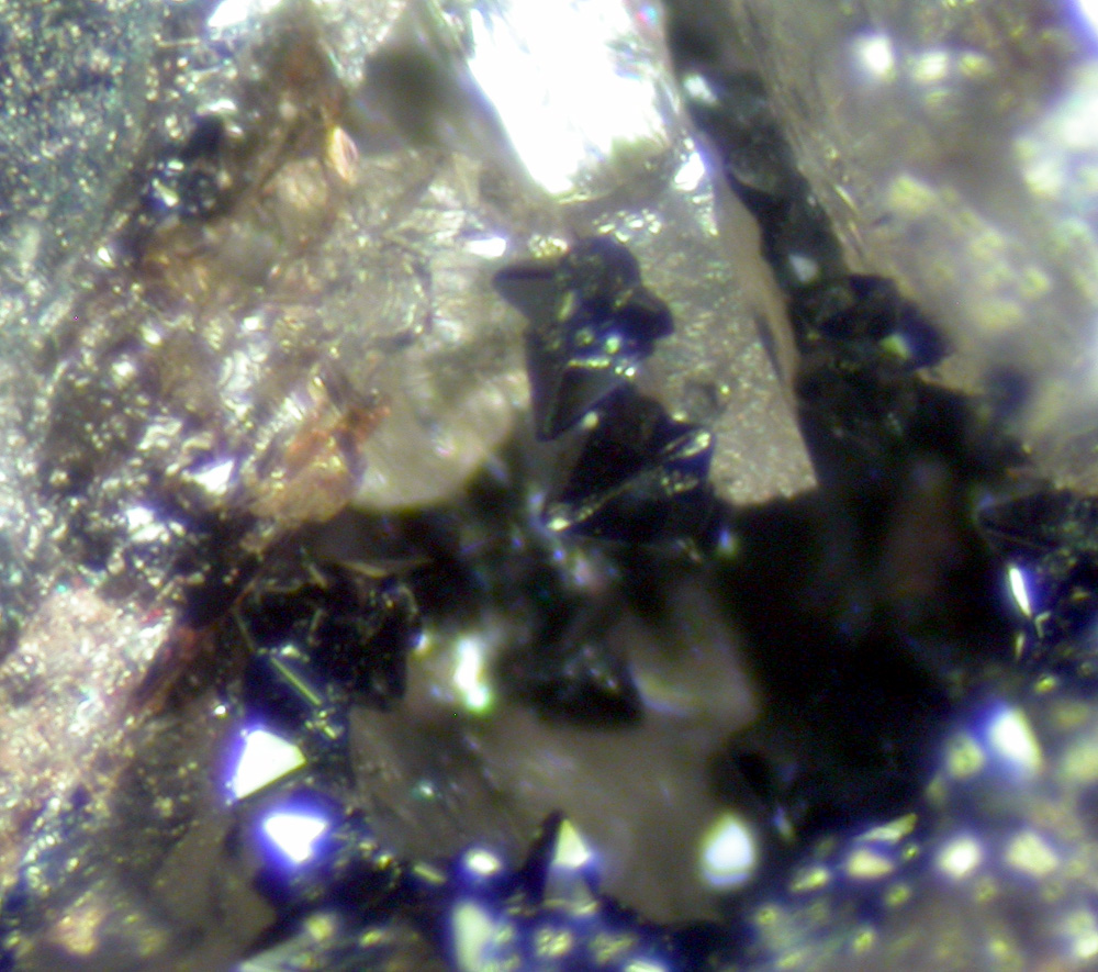 Barbosalite Triphylite & Kidwellite