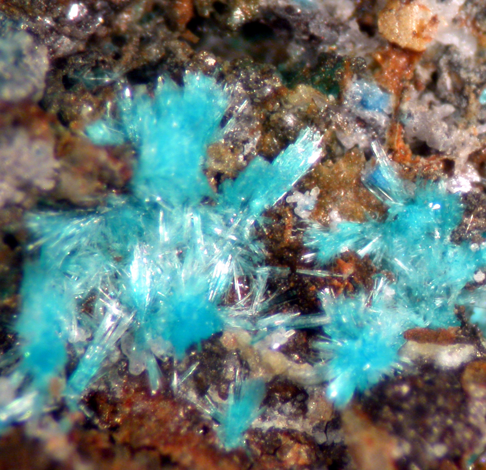 Serpierite & Linarite