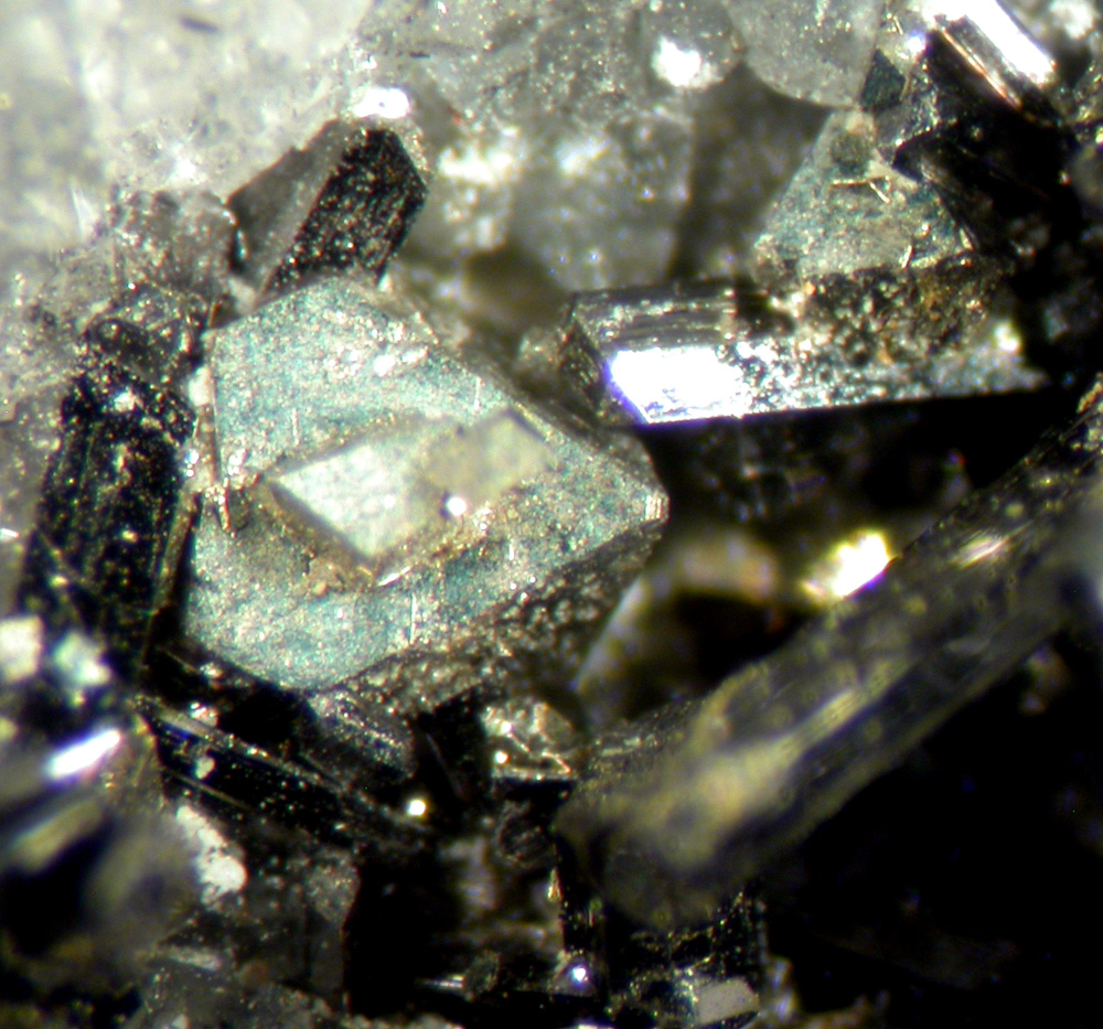 Enargite & Pyrite