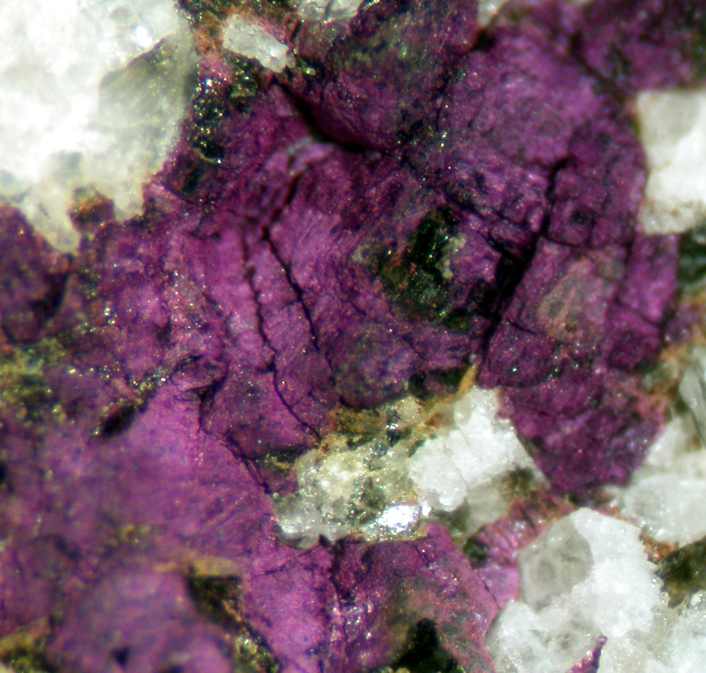 Purpurite