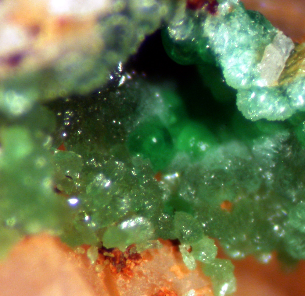 Zincolivenite & Conichalcite