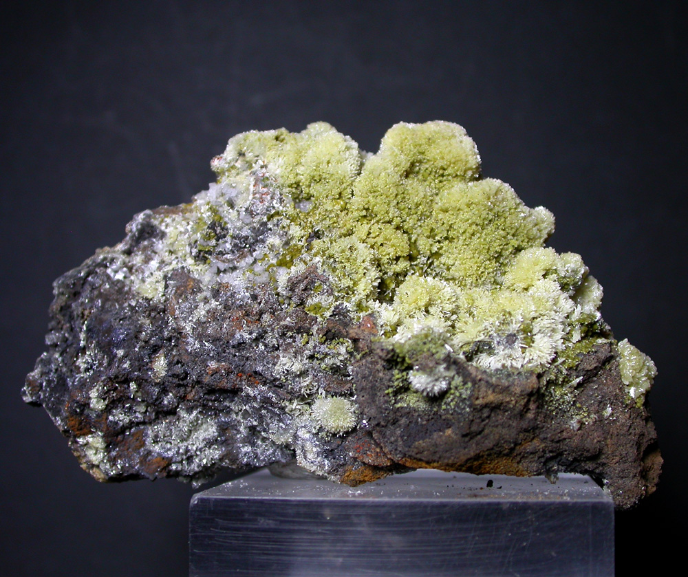 Arsendescloizite & Mimetite