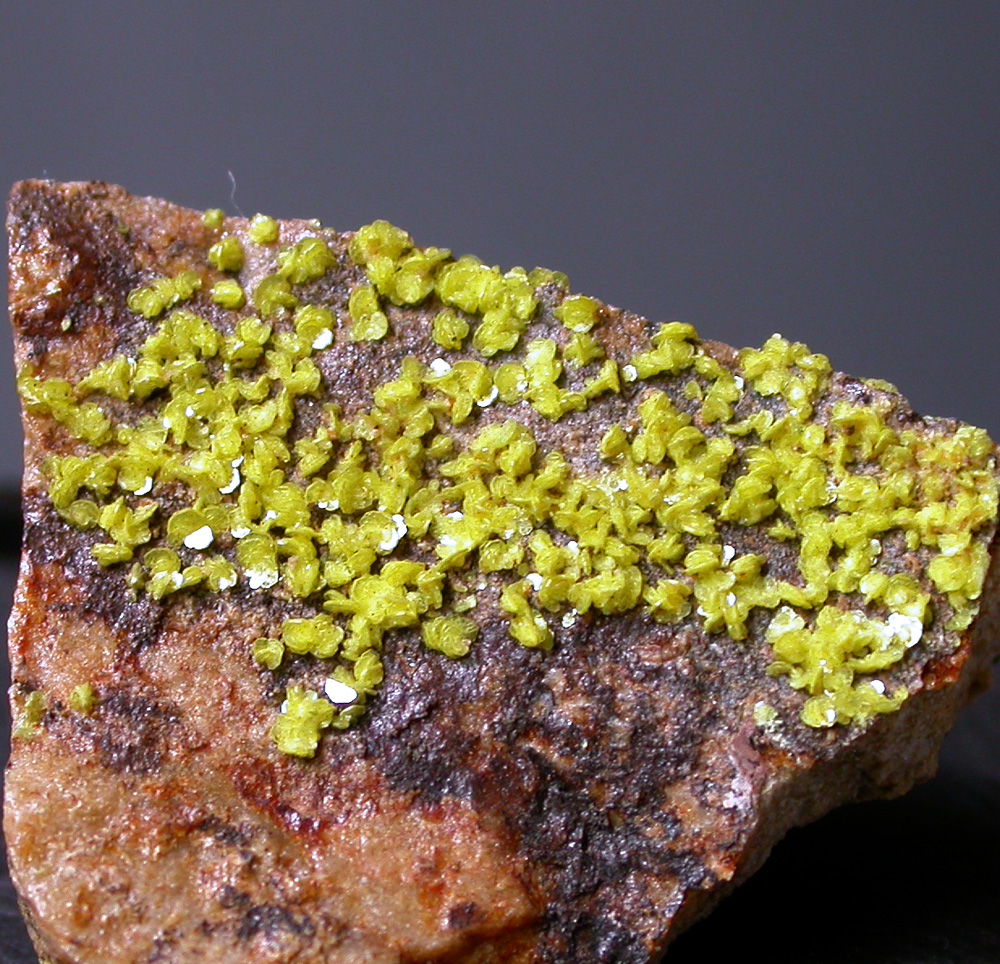 Autunite