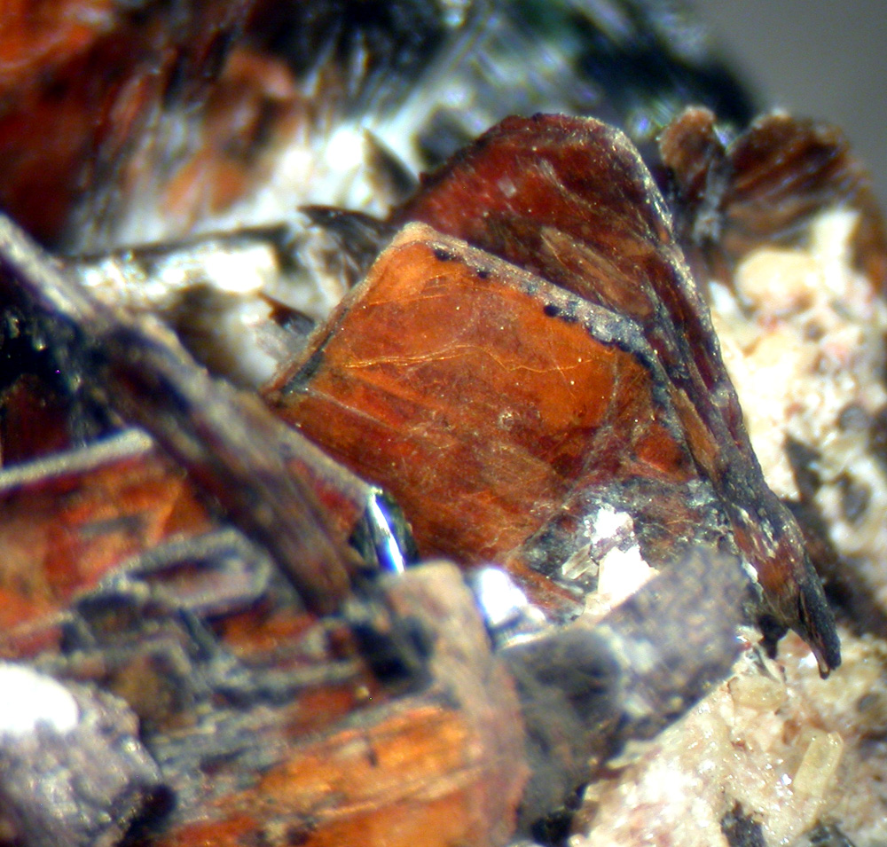 Niobophyllite Zircon & Aegirine