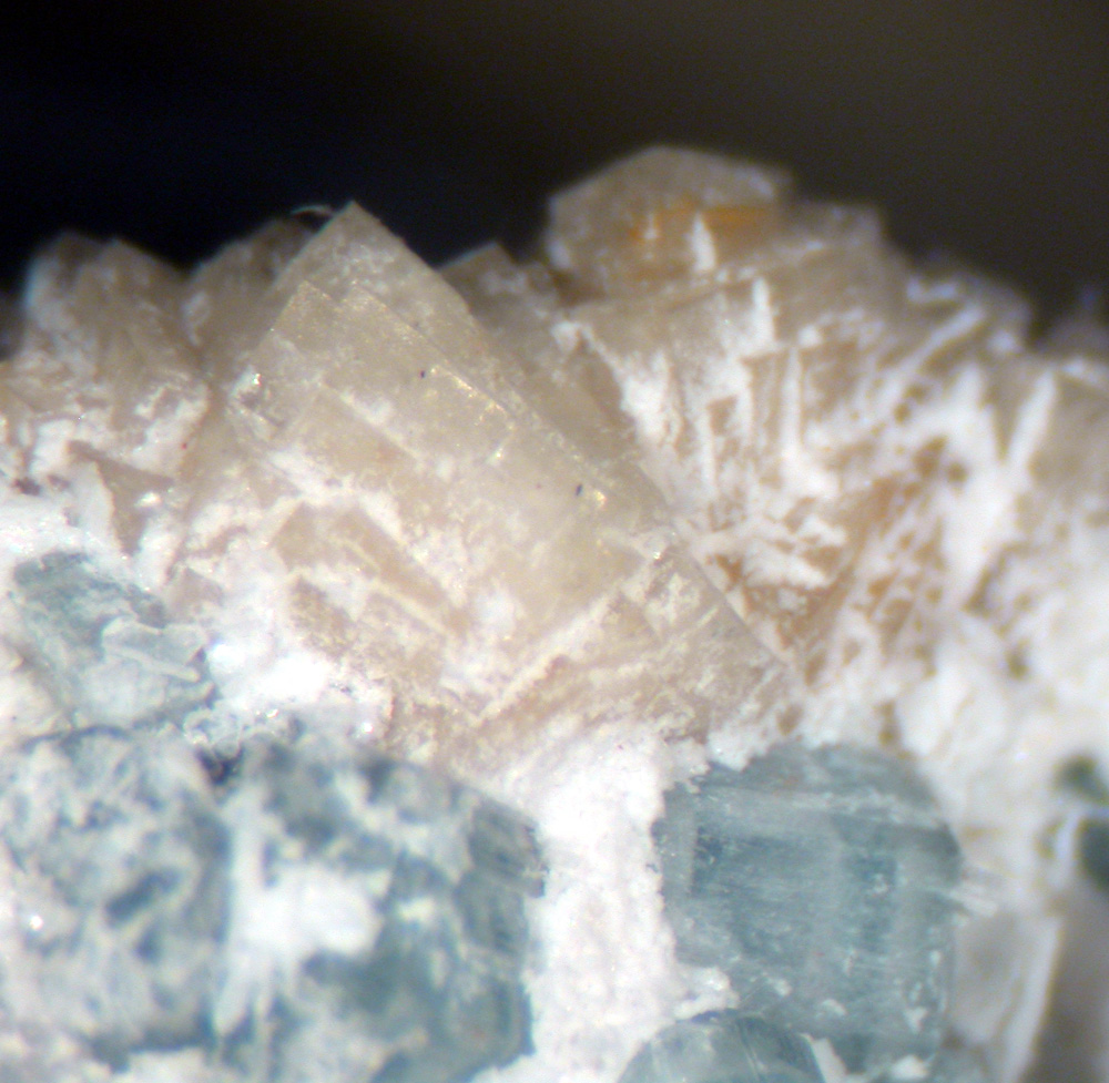 Crandallite & Fluorapatite