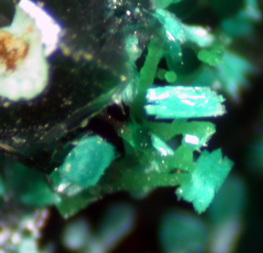 Parnauite Cornwallite Bariopharmacosiderite & Olivenite