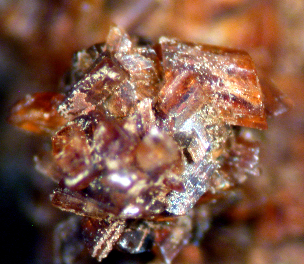 Ushkovite