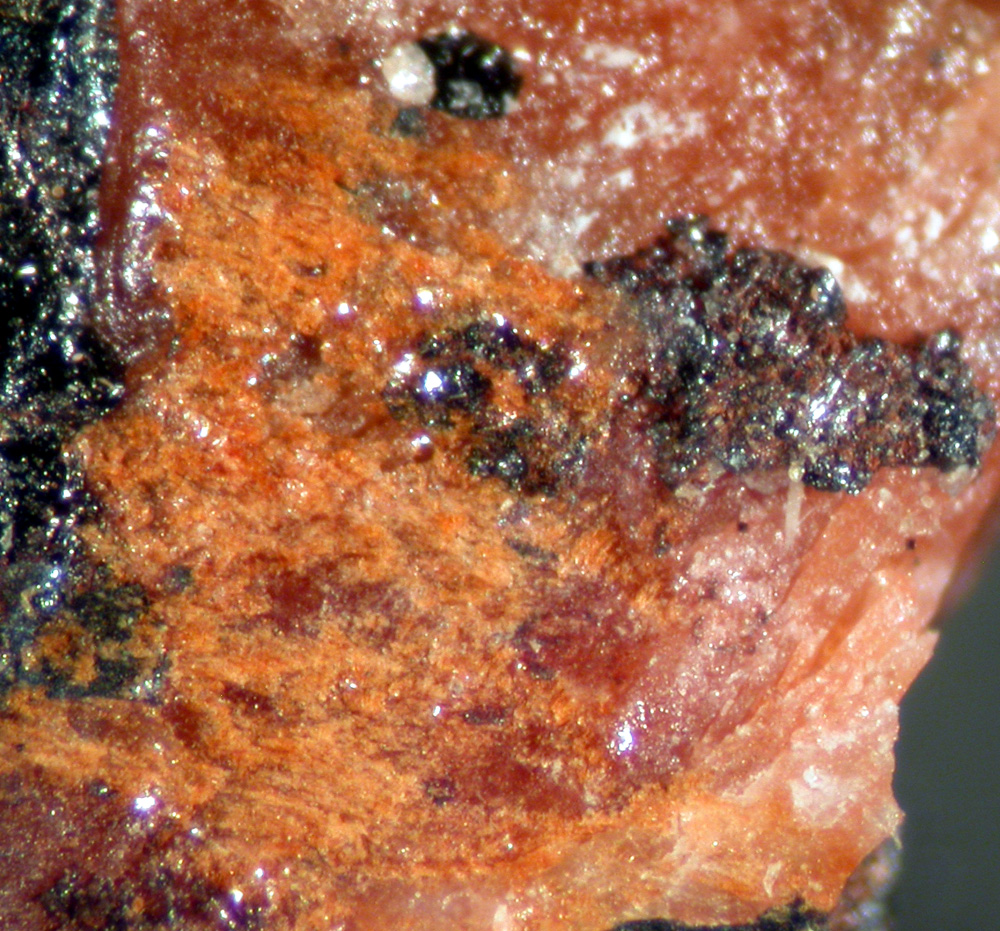 Kolicite