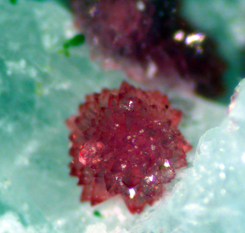 Variscite Kidwellite & Saléeite