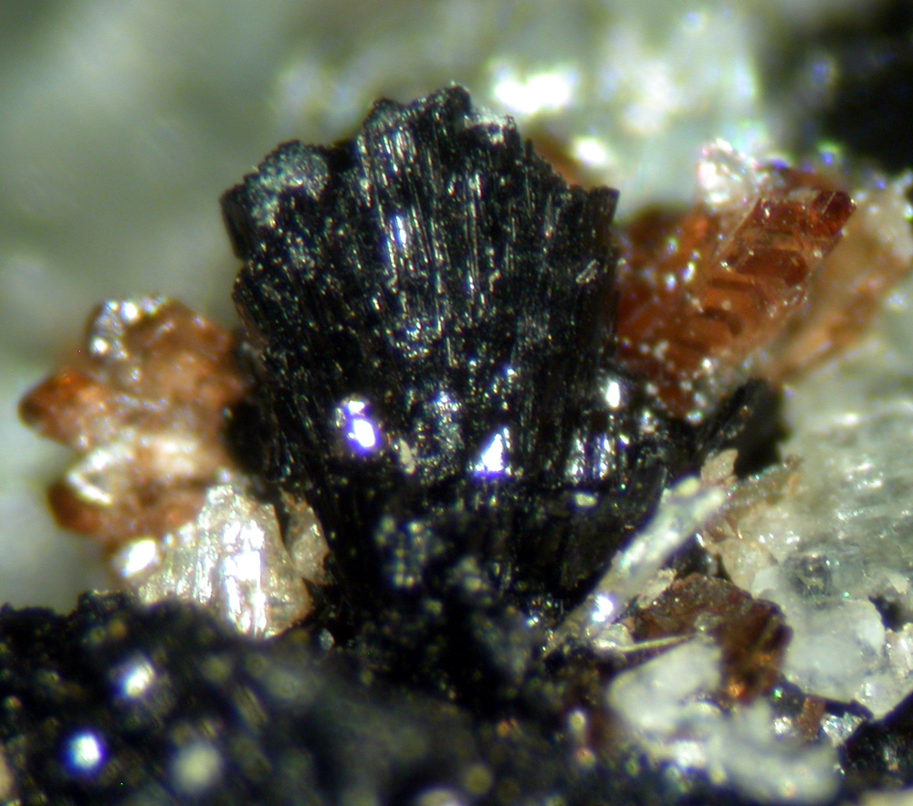 Ludlamite Barbosalite & Eosphorite