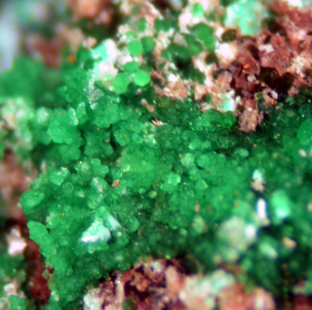 Conichalcite Azurite & Olivenite