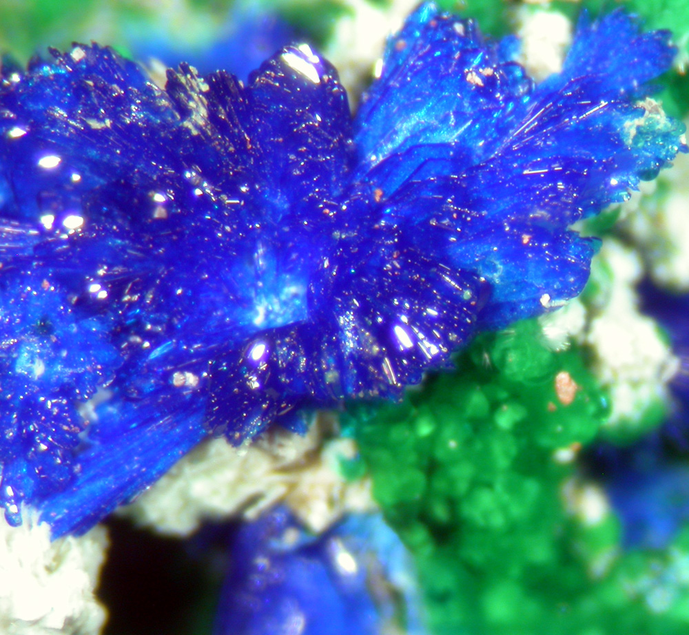 Conichalcite Azurite & Olivenite