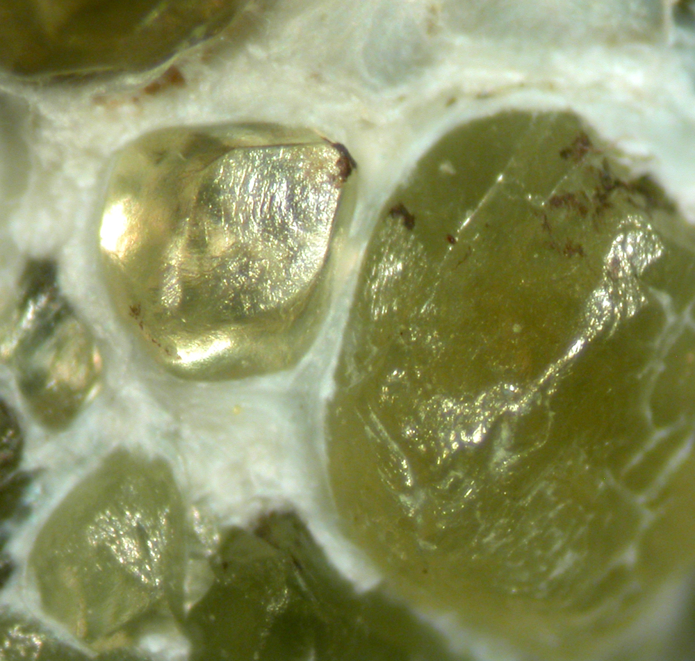 Demantoid & Asbestos