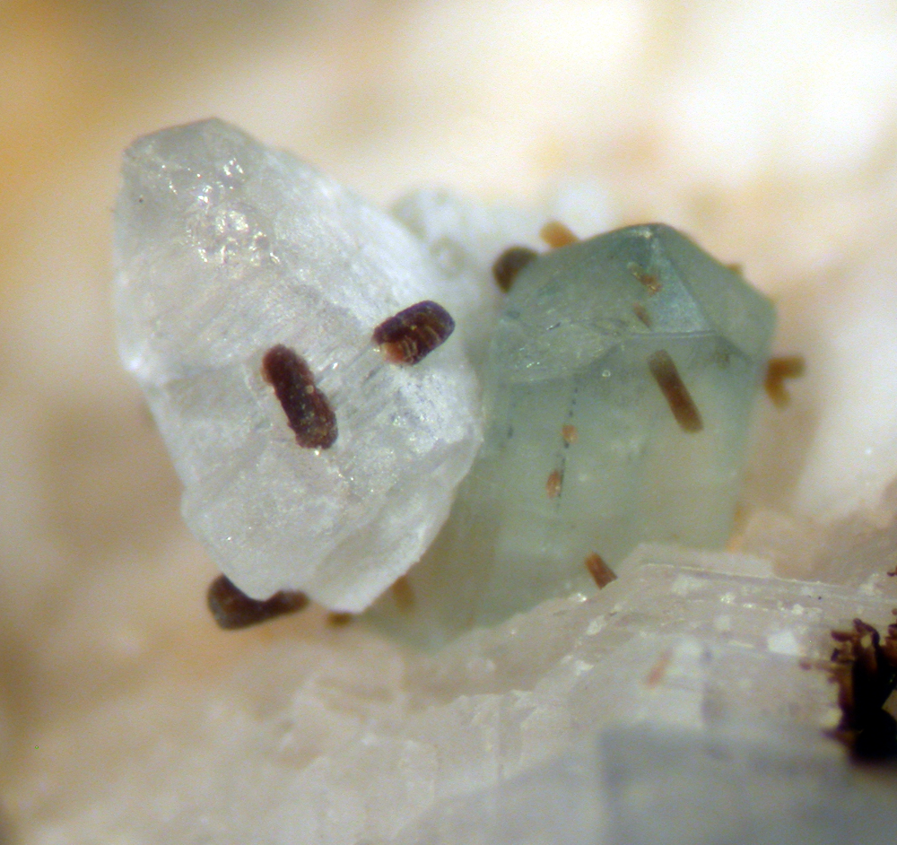 Fluorapatite & Greifensteinite