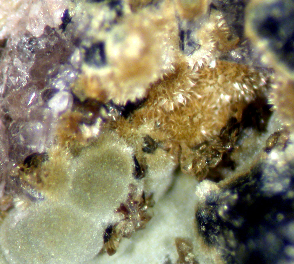 Kidwellite & Jahnsite