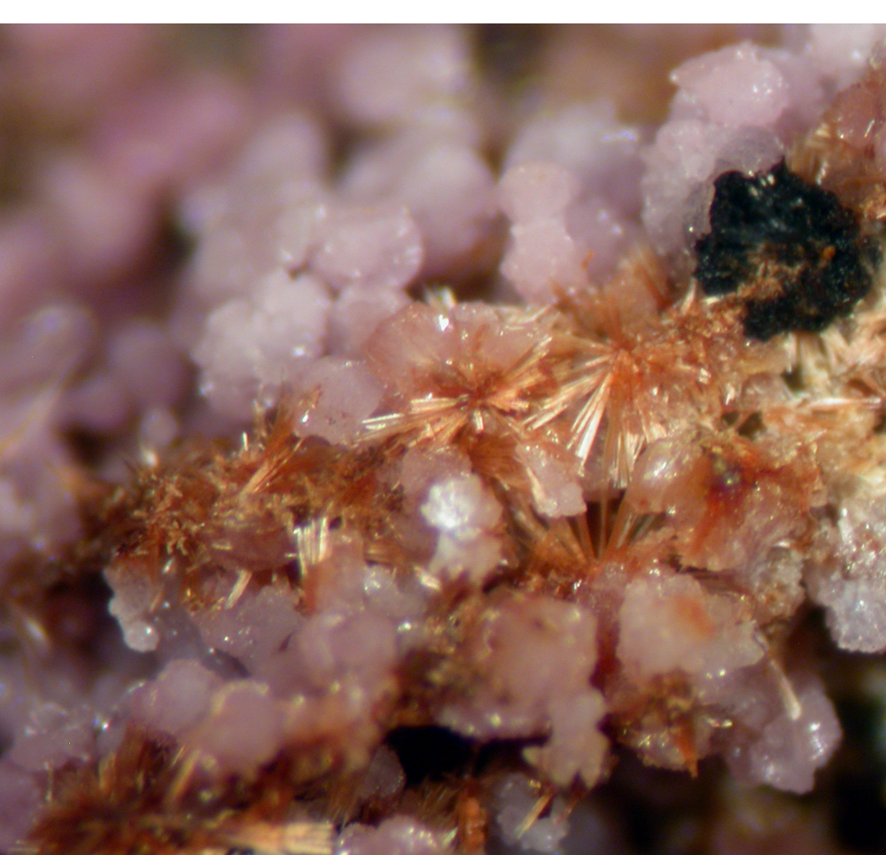 Strengite Cacoxenite Nsutite & Eleonorite