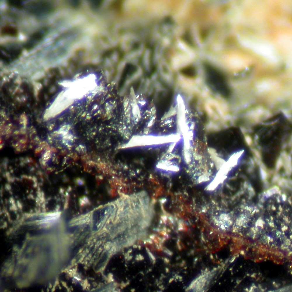 Metaswitzerite Correianevesite & Vivianite