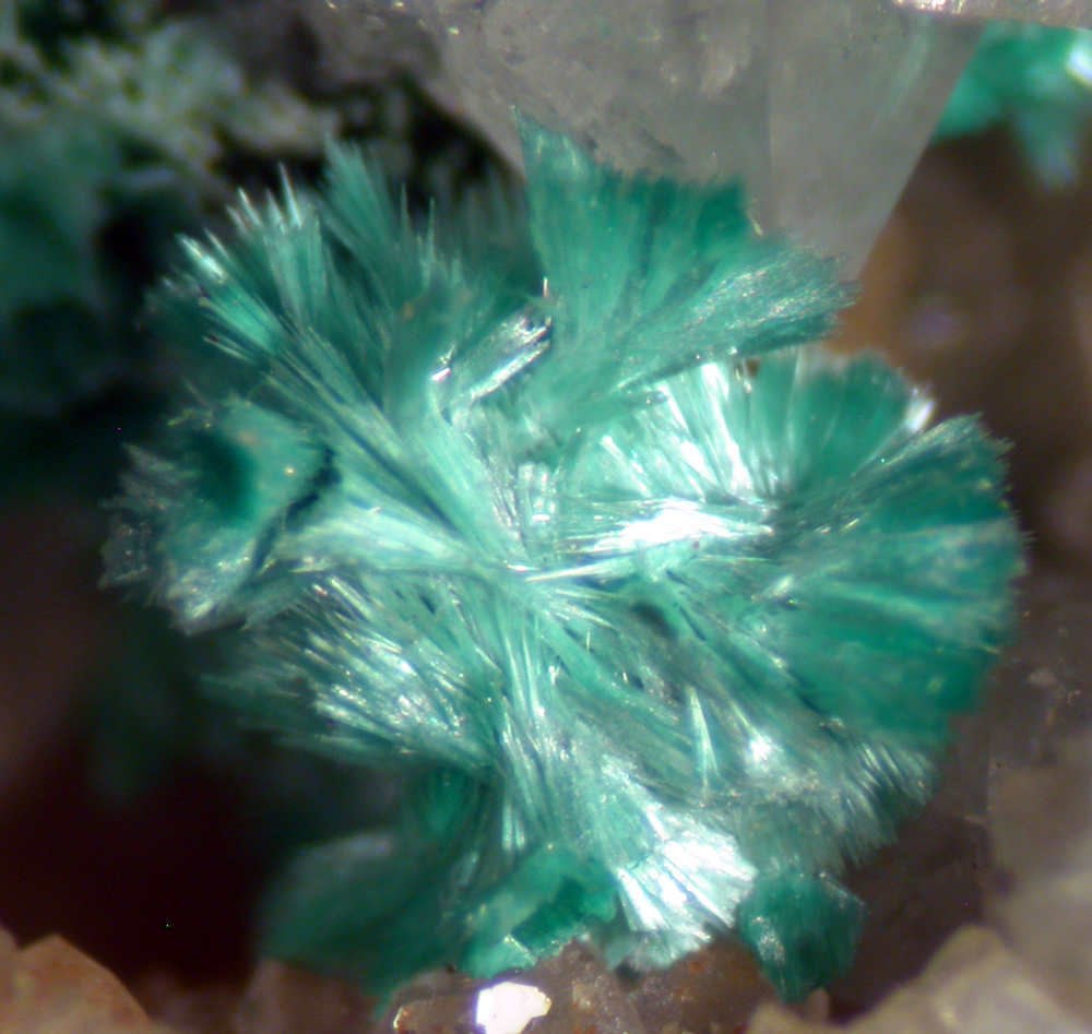 Malachite & Parnauite