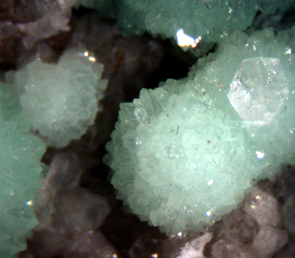 Variscite & Wavellite