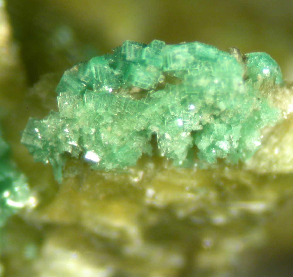 Autunite & Torbernite