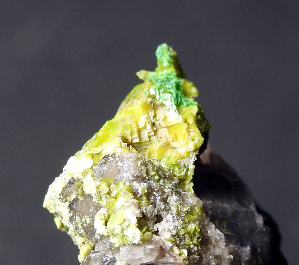 Autunite & Torbernite