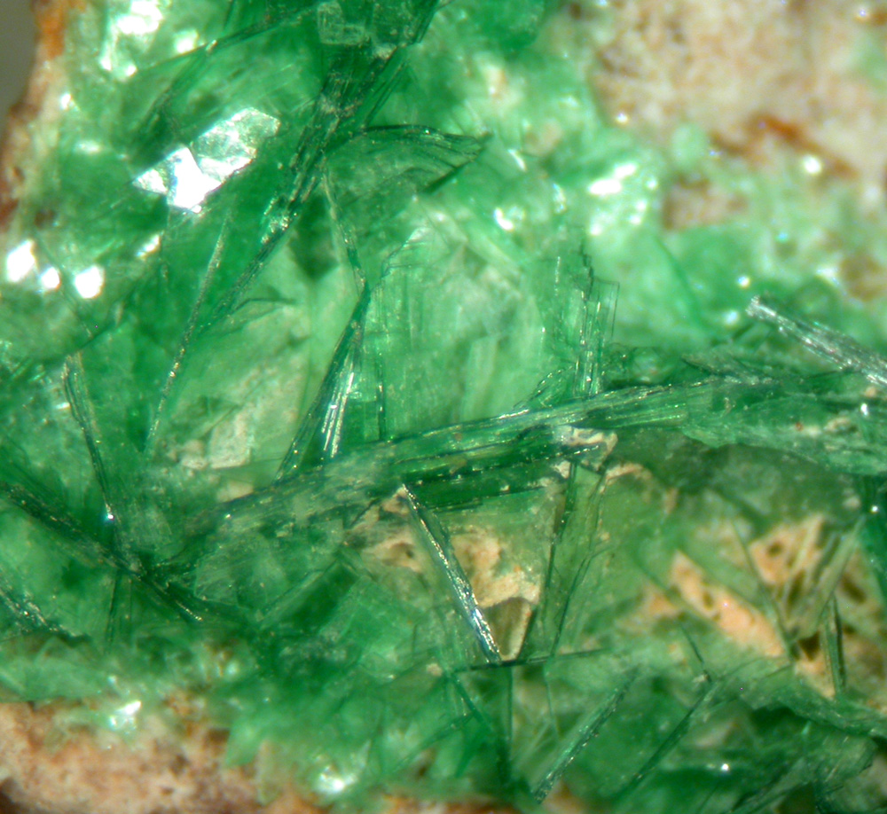 Torbernite