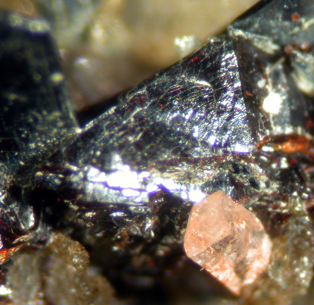 Correianevesite Triphylite Hureaulite & Vivianite