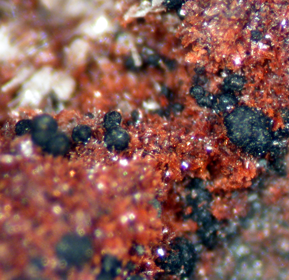 Robertsite Whiteite Bermanite & Phosphosiderite