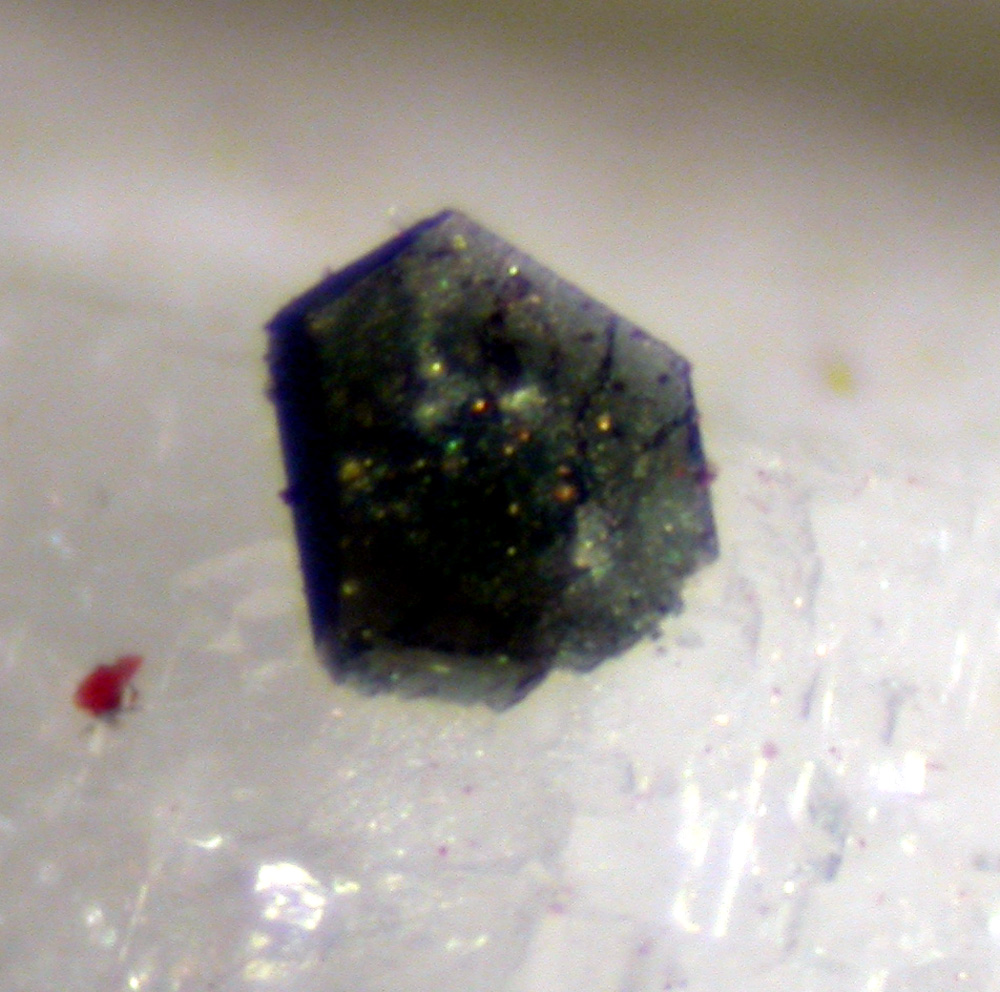 Scandiobabingtonite & Hematite