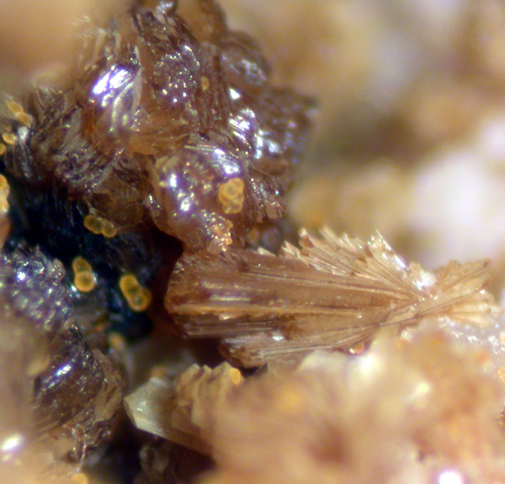 Jahnsite-(NaMnMg) & Cacoxenite