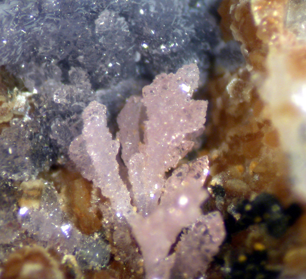 Jahnsite-(MnMnMg) Phosphosiderite & Strengite