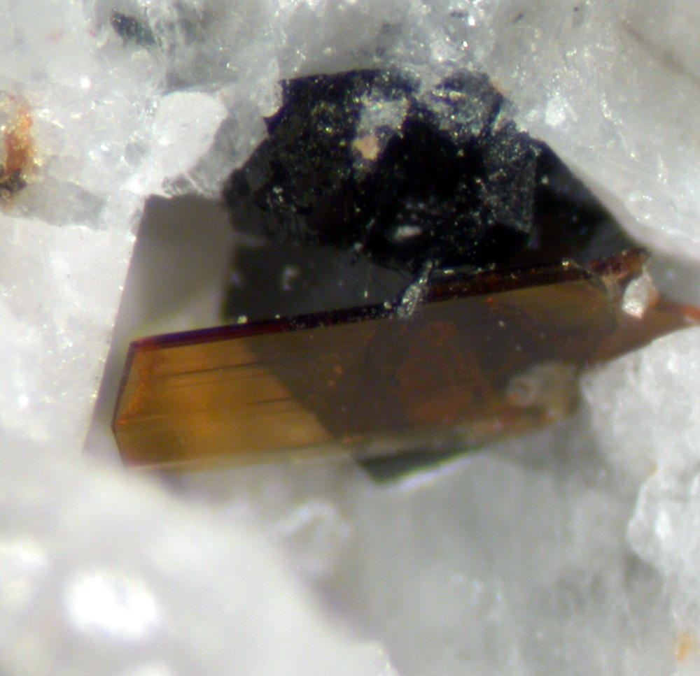 Fogoite-(Y) & Astrophyllite