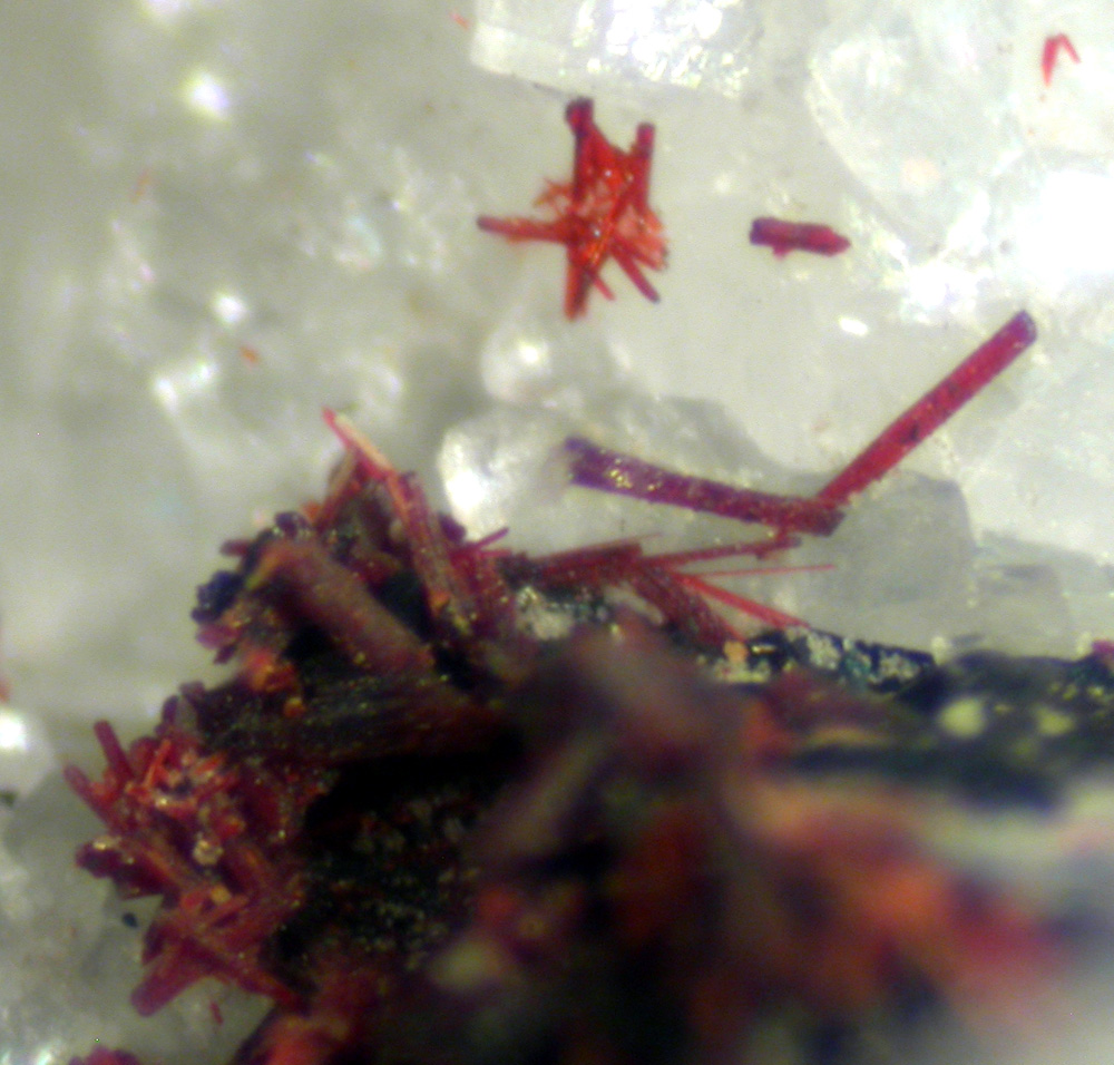 Hutchinsonite & Realgar