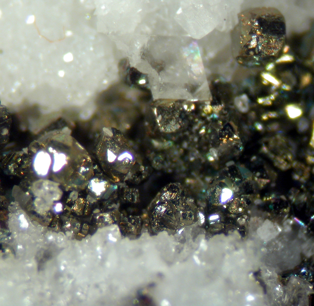 Pyrite & Tennantite