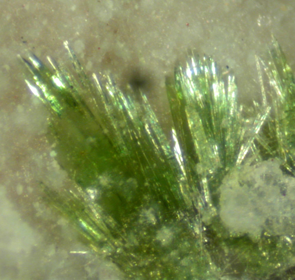 Bellingerite