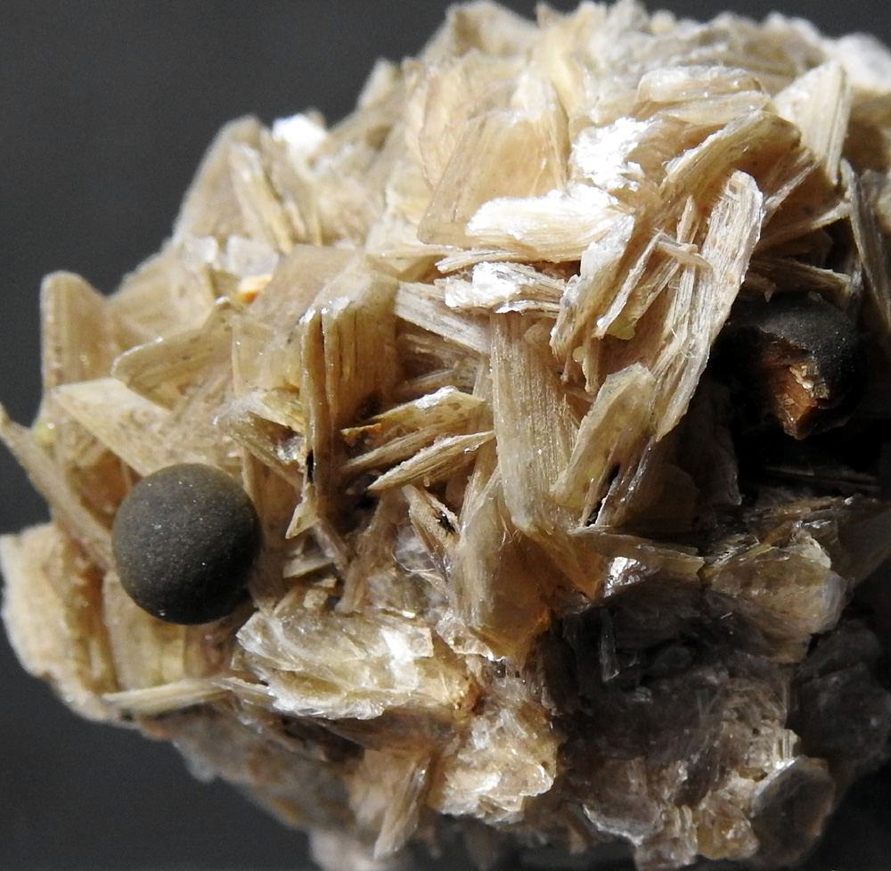Greifensteinite & Muscovite