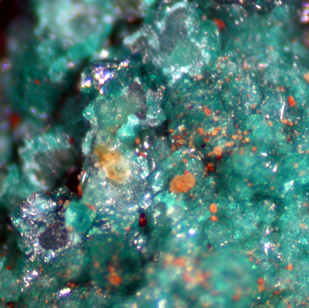 Clinoatacamite