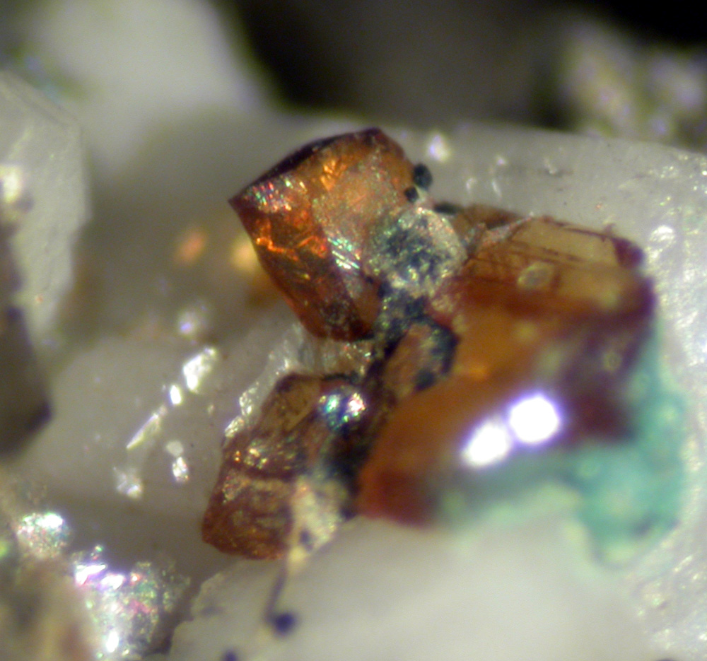 Chernovite-(Y) Cafarsite & Agardite