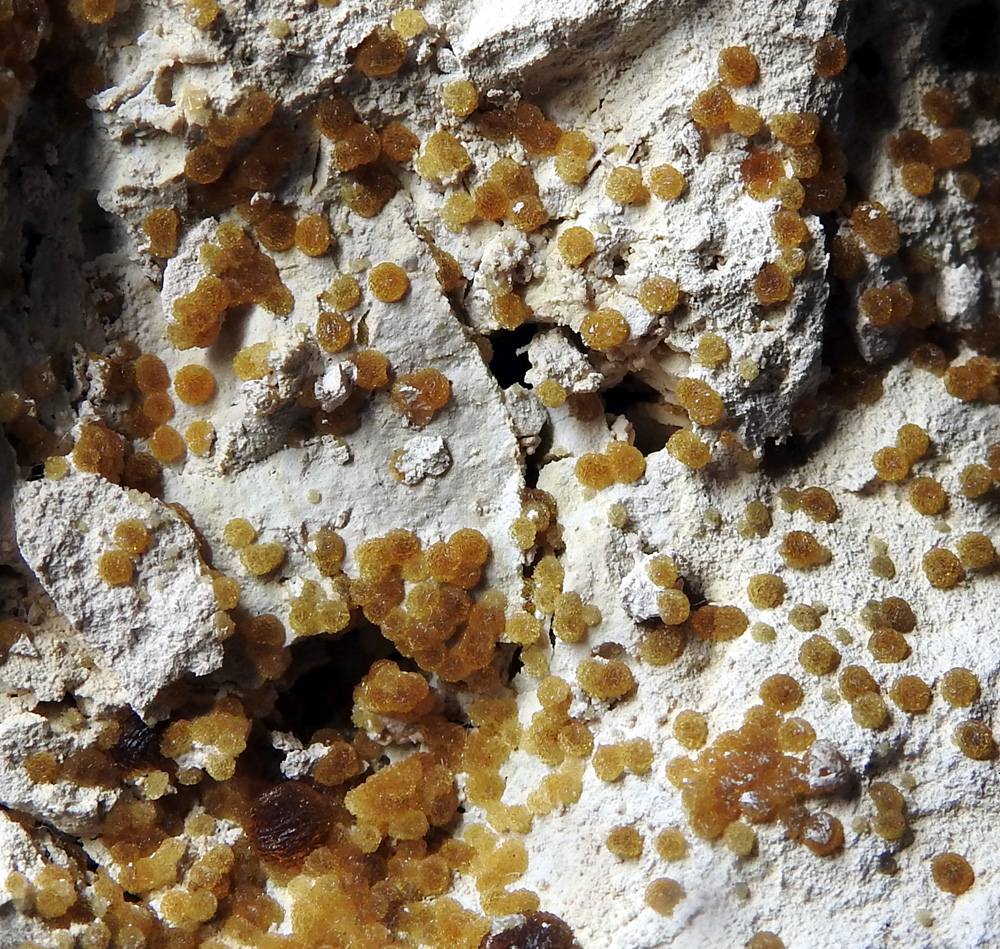 Wavellite