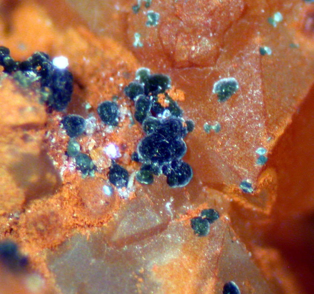 Frondelite & Leucophosphite