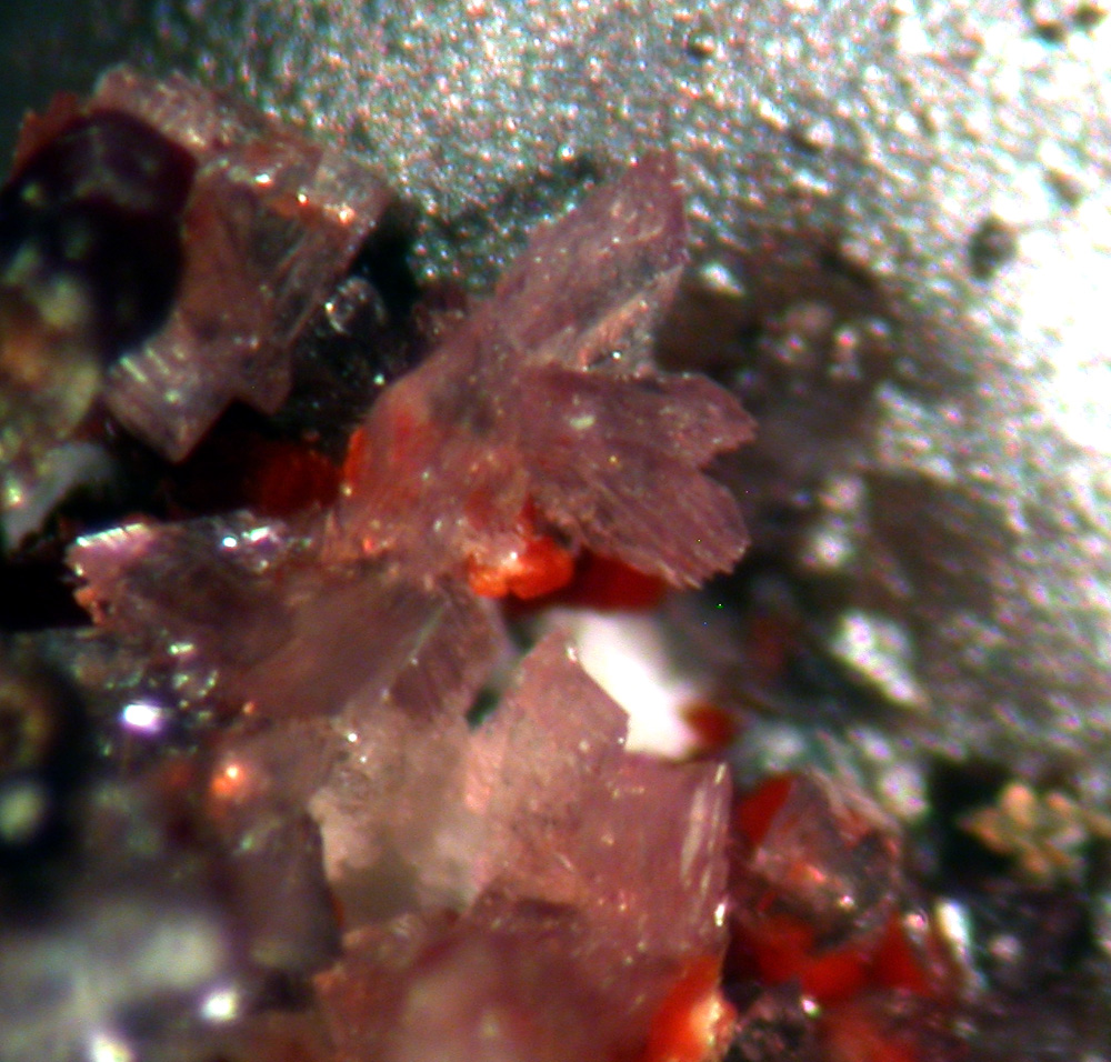 Leucophosphite Meurigite-K & Frondelite