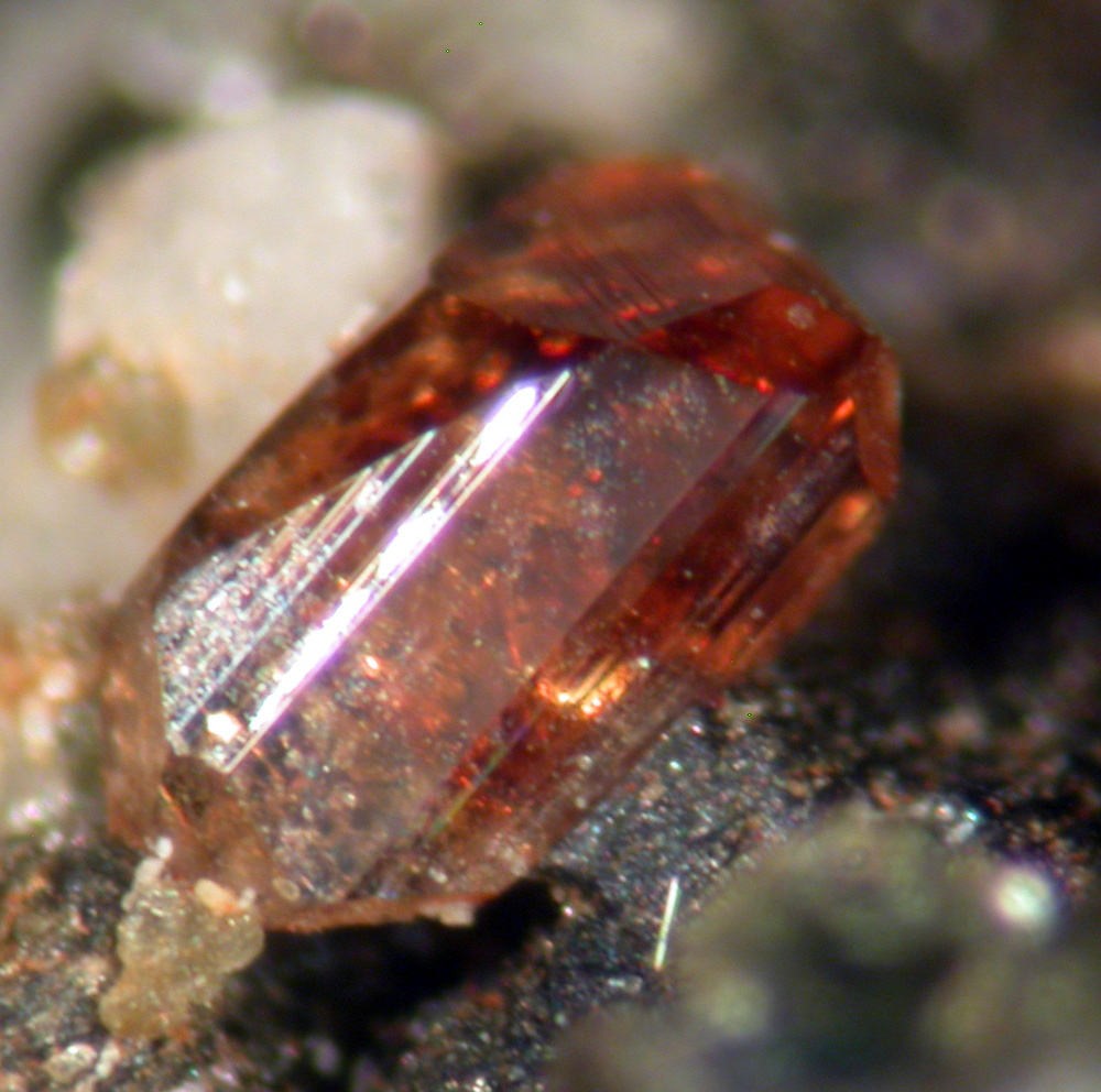 Anatase Sagenite & Muscovite